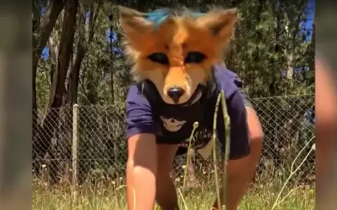 Therian, persona que se identifica con un animal.