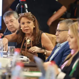 En reunión de la Comisión, senadora pide renuncia del presidente del IPS por retraso en compra de stents