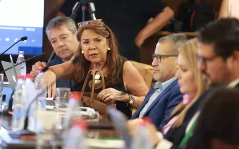 Celeste Amarilla.