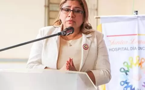 Gobernadora de Concepci�n, Liz Meza.