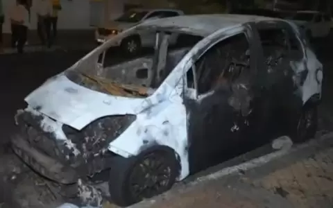 Presunto pir�mano incendia un veh�culo con bomba molotov en Sajonia