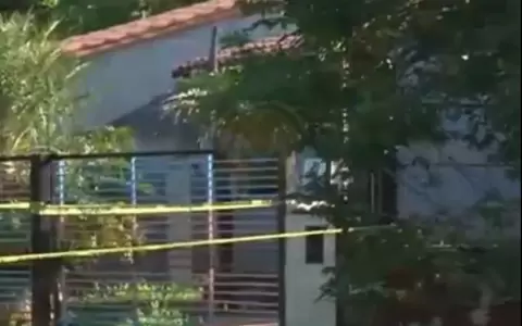 Hallan muerta a ciudadana alemana junto a sus seis perros en Itaugu�.