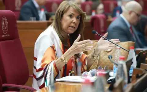 Celeste Amarilla, senadora