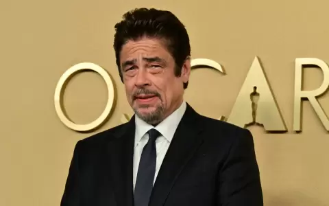 Benicio del Toro.