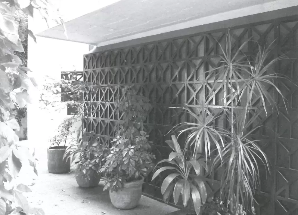 Vivienda Malela, Asunci�n, 1973. Fuente: Colombino. Resumen de Arquitectura. Cortes�a