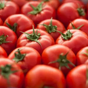 Tomates.