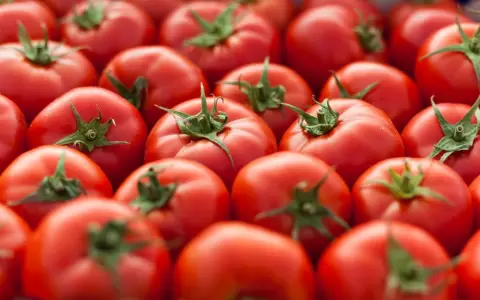 Tomates.
