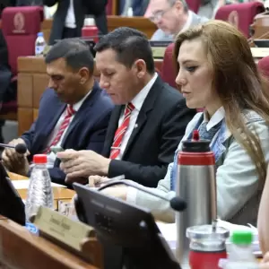 Chaque�ito anunciar�a su renuncia, y Bachi N��ez afirma que ser�a 'un favor al Senado'"