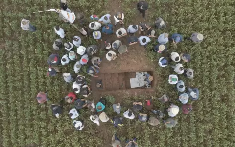 Rally de la soja se realiza en abril.