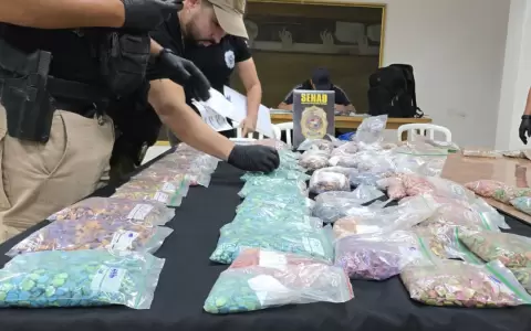 Droga incautada: aproximadamente 40.000 pastillas de MDMA (�xtasis).