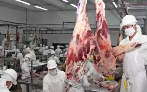 Carne barata de un d�a no tapa crisis del bolsillo