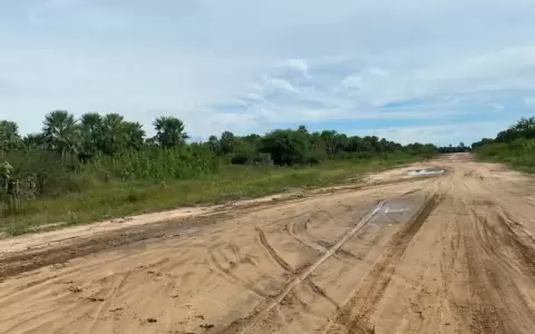 Deplorable estado del aeropuerto de Carmelo Peralta