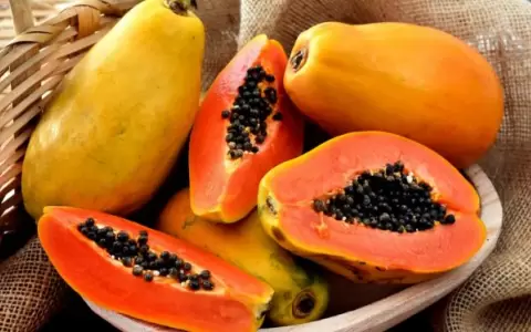 Papaya.