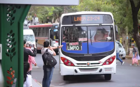 Transporte p�blico. Buses.