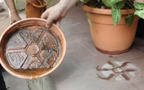 Mosquitos aumentan debido a la humedad.