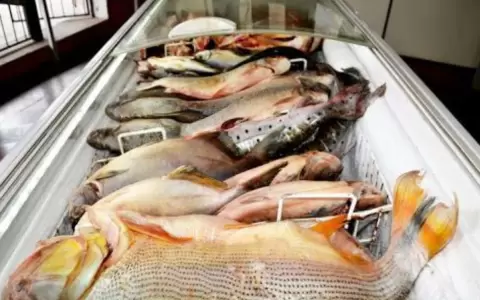 Pescadores de Remanso atender�n hasta la tarde de este Viernes Santo.