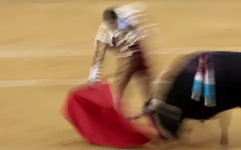 Muere corneado un extorero espa�ol cuando preparaba una corrida en M�laga