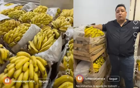 Productores de banana denuncian rechazo.