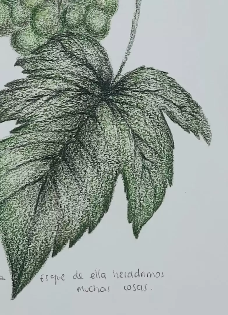 Obra de Jimena Zald�var.
