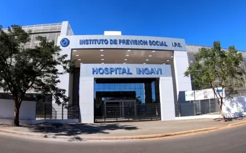 IPS Ingavi.