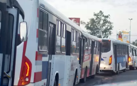 Transporte P�blico.