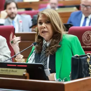 Celeste Amarilla, senadora.