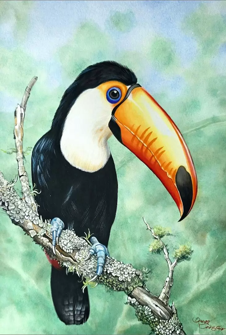Obra de Diego Schafer. Cortes�a