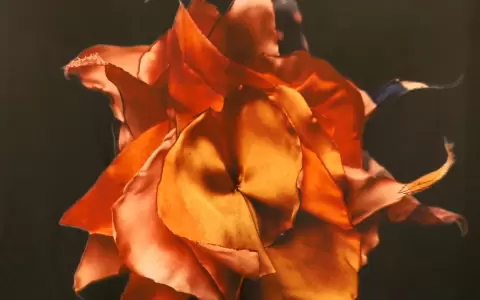 Eneide Boneu, obra que ser� exhibida en la muestra.