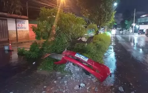 Adolescente al volante pierde el control y choca contra columna y �rbol en �emby.