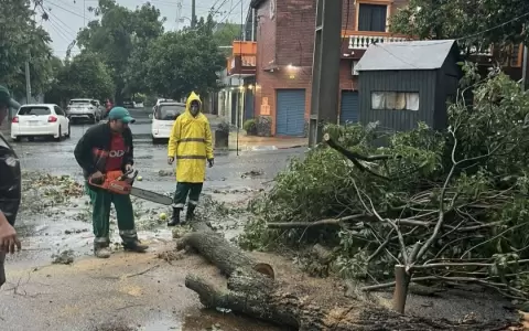 �rboles ca�dos en Asunci�n por temporal.