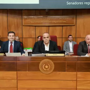 Senado consolida blindaje de la jubilaci�n VIP parlamentaria