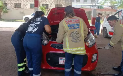 Serpiente dentro del veh�culo.