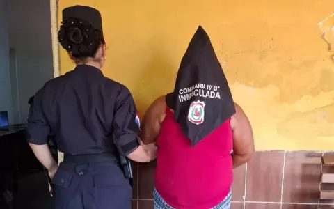 La mujer fue a realizar una denuncia y termin� detenida por �rdenes de captura vigentes.