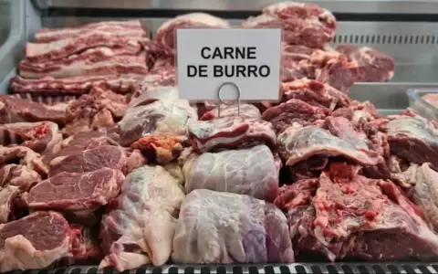 Venta de carne de burro en Argentina,