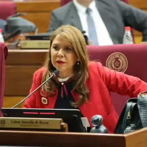 Celeste Amarilla: "Si Pe�a fuera un presidente fuerte, no tendr�a que rendir cuentas primero a la ANR"