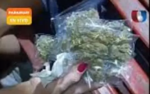 Detienen a joven con 21 dosis de marihuana en una plaza de Asunci�n.
