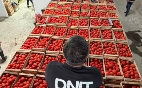 Incautaciones de productos de contrabando.