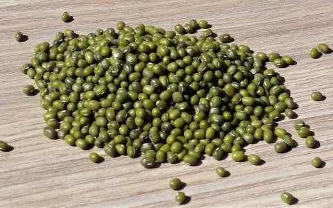 Poroto mungo paraguayo conquista mercados asi�sticos.