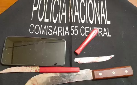 Un adolescente de 16 a�os fue detenido luego de atacar con cuchillos a su madre durante una discusi�n ocurrida en una vivienda de �emby.