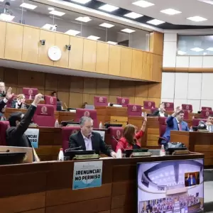 Jubilaci�n VIP sin consenso en el Senado