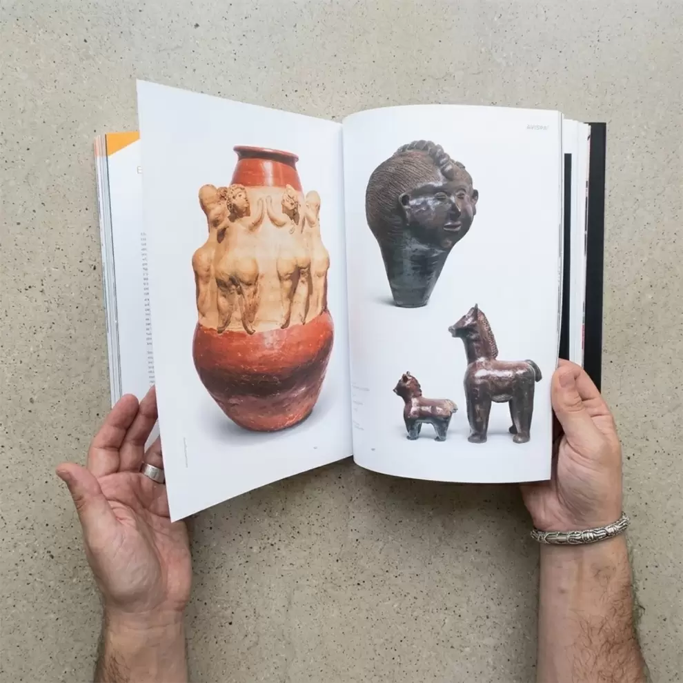 Algunas páginas del libro "AVISPAs".