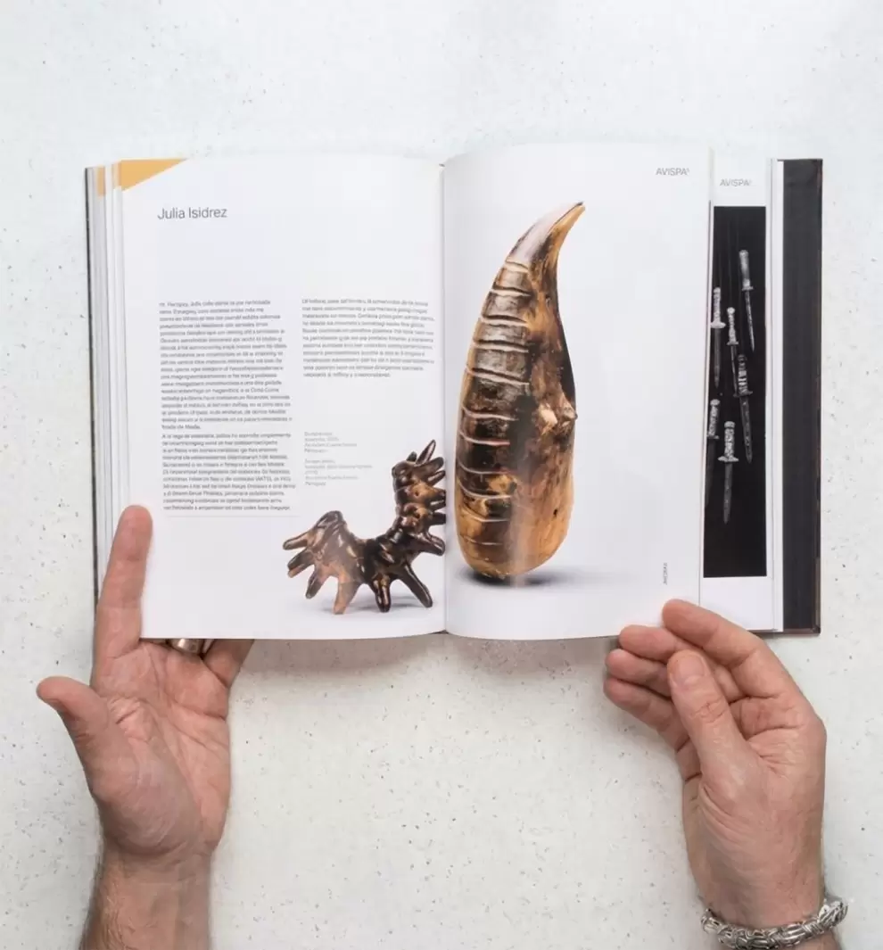 Algunas p�ginas del libro "AVISPAs".