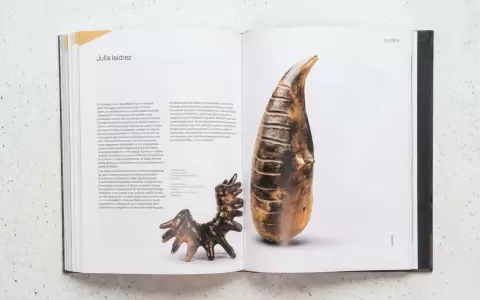 P�ginas interiores del libro "AVISPAs".