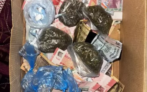 Droga incautada durante el procedimiento de la Senad.