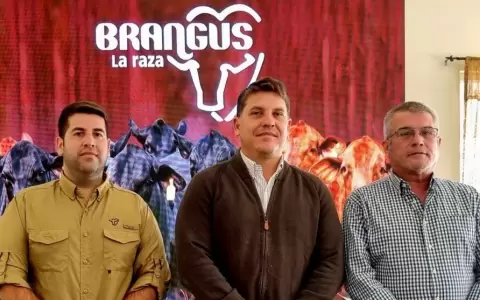 Expo tendr� 800 ejemplares en competencia.
