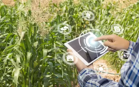 Se priorizar�n startups con soluciones orientadas a aumentar productividad y competitividad, mejorar gesti�n de recursos naturales y la resiliencia.
