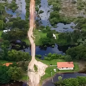 Falta de caminos de todo tiempo afecta a la ganadería en el Chaco
