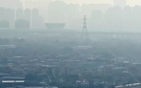 Contaminaci�n del aire: Neum�logos murcianos alertan de la "estrecha relaci�n" entre contaminaci�n y salud respiratoria.