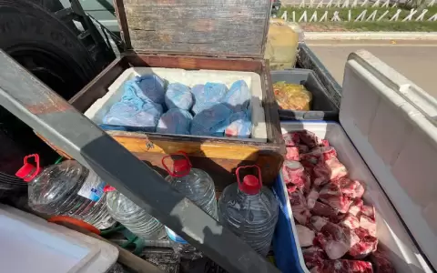 Camioneros en el Chaco.