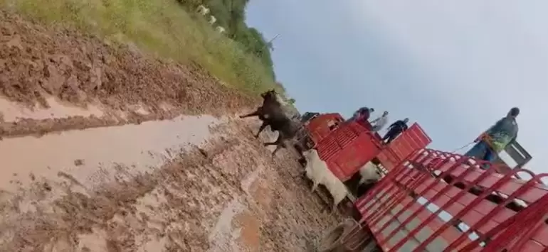 Camioneros en el Chaco.